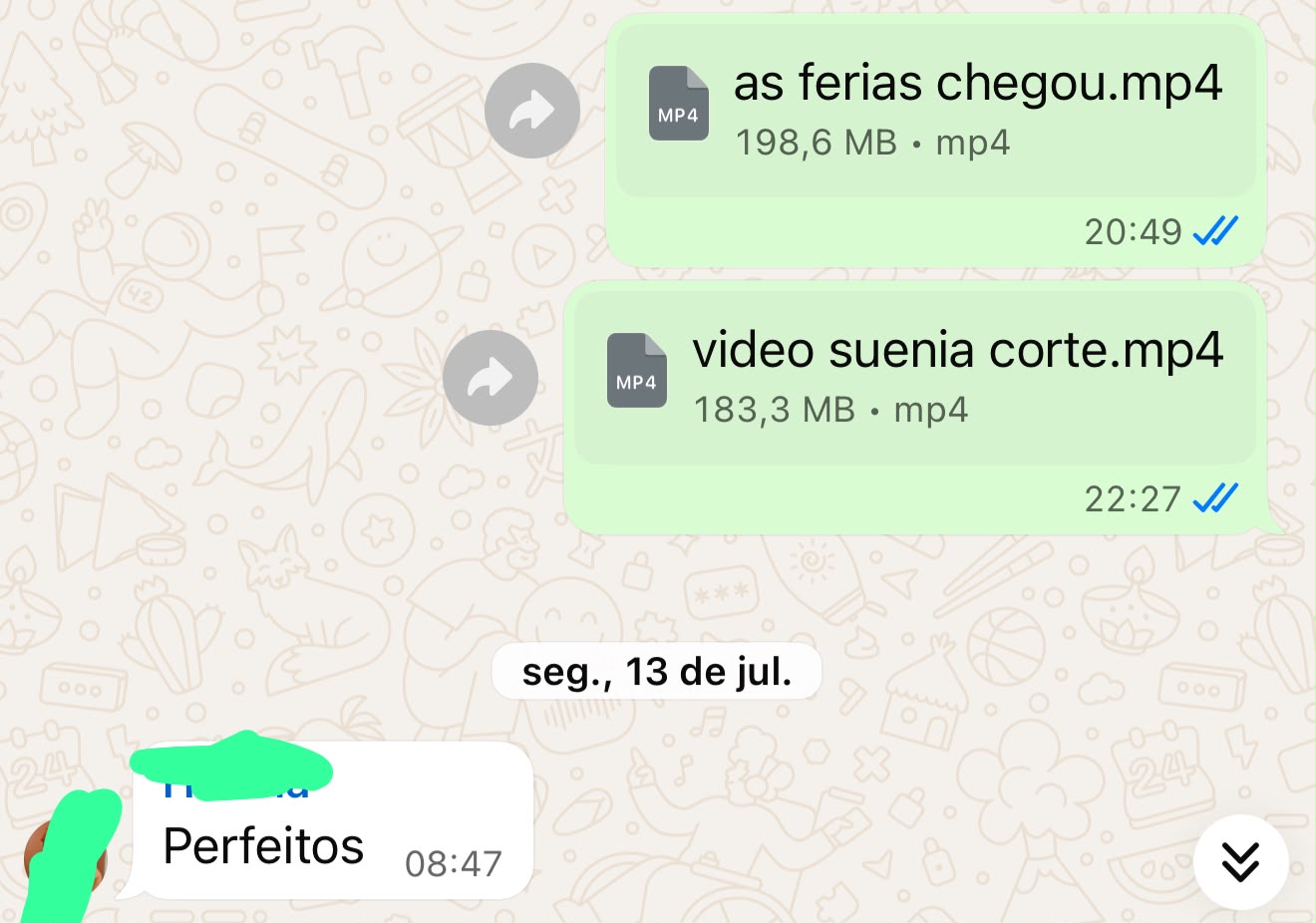 Feedback de cliente 2